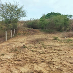 Terreno en Puerto Escondido Oaxaca, Fracc. El Dorado