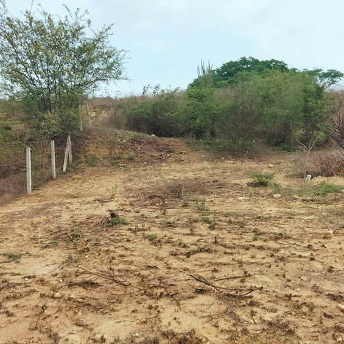 Terreno en Puerto Escondido Oaxaca, Fracc. El Dorado
